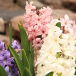 Spring_2012_Nature_Retreat