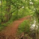 pond_path