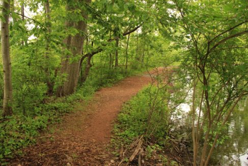 pond_path