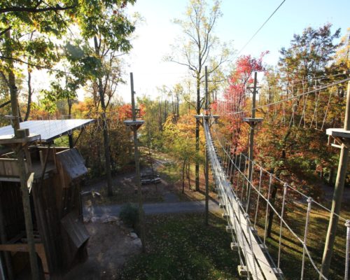 Challenge Adventure_High Ropes_Fall_Activities