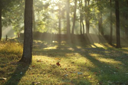 Sunrise depicts the power of hope