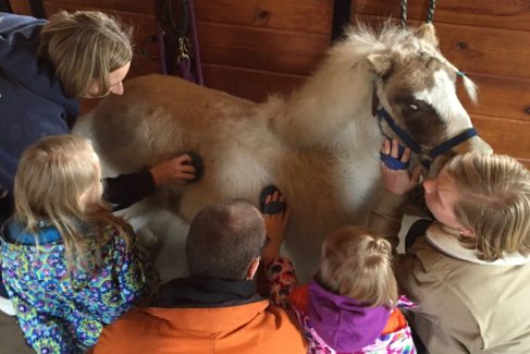 Pony Care Family