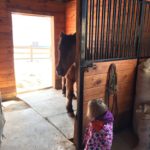 Horse Barn Kids