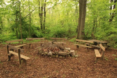 Campfire Summer Outdoor Space