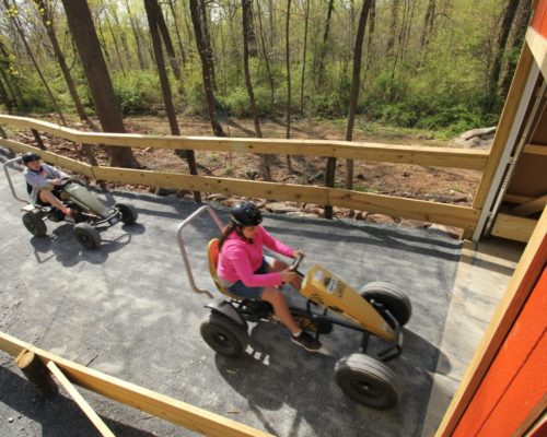 Pedal Carts_School Group_Spring_Children