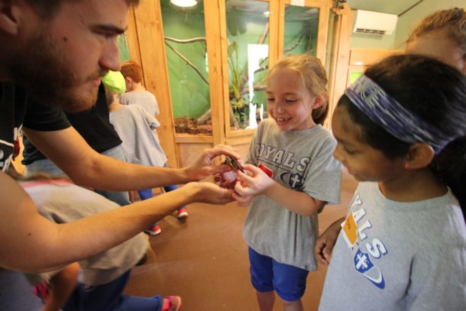 Nature Studies_School Group_Mark_Turtle