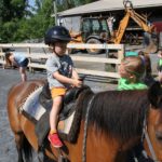 Farm Animal Experience_Horse_Children_Summer_Hannah