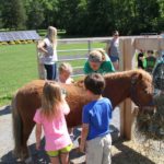 Farm Animal Experience - Children with Horses in Summer