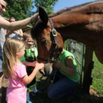 Farm Animal Experience_Horse_Children_Summer