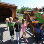 Farm Animal Experience with Alpaca