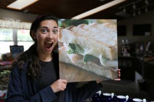 Mountain Sandwich