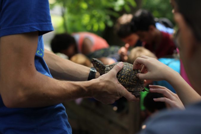 reptiles and amphibians program in Lancaster pa