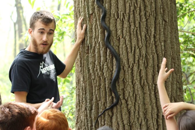 amphibians and reptiles program at refreshing mountain