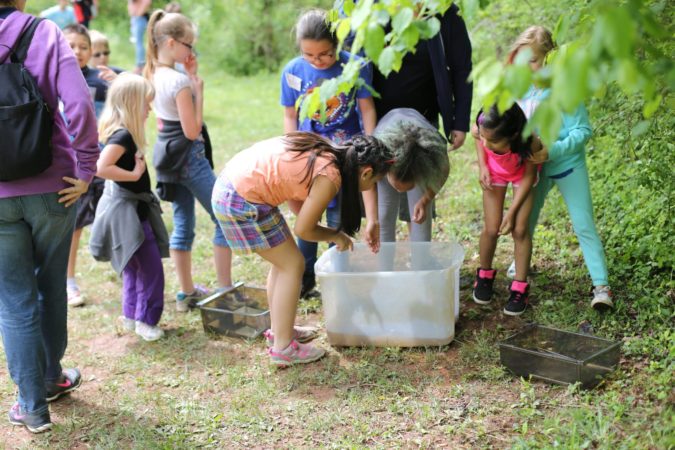 Refreshing Mountain Nature Program Wild life and native animals