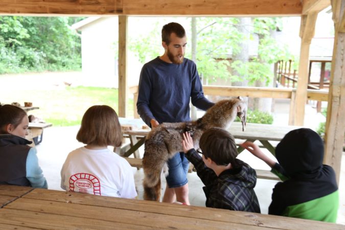 woodland study furs. Nick W.
