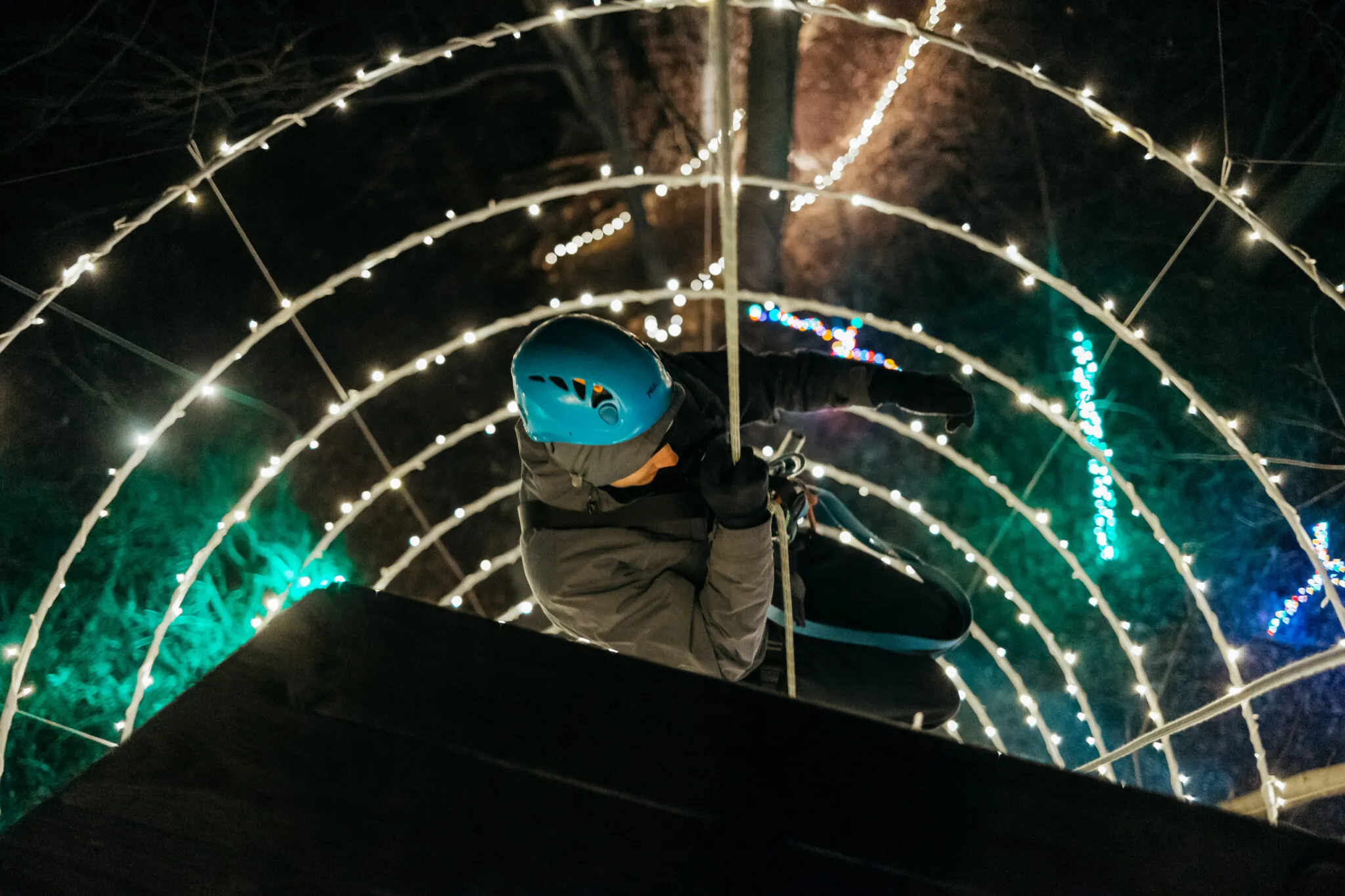 Lancaster, PA's Most Unique Christmas Activities! Christmas Lights