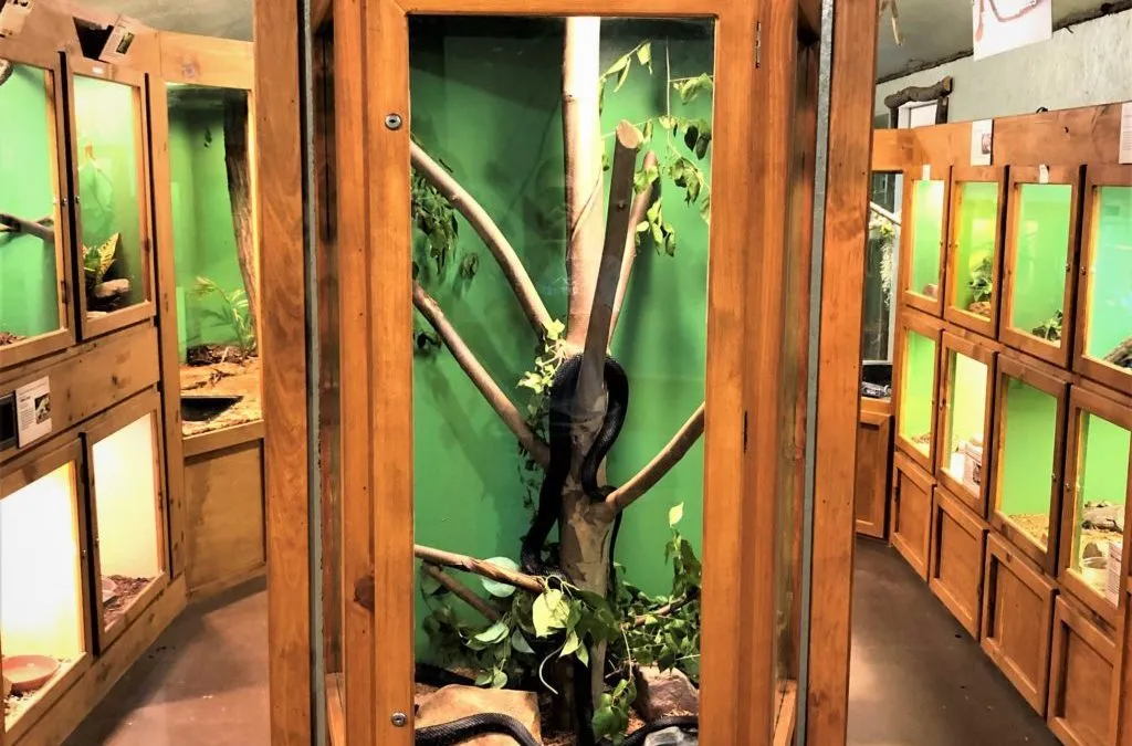 Wildlife Center Free Time