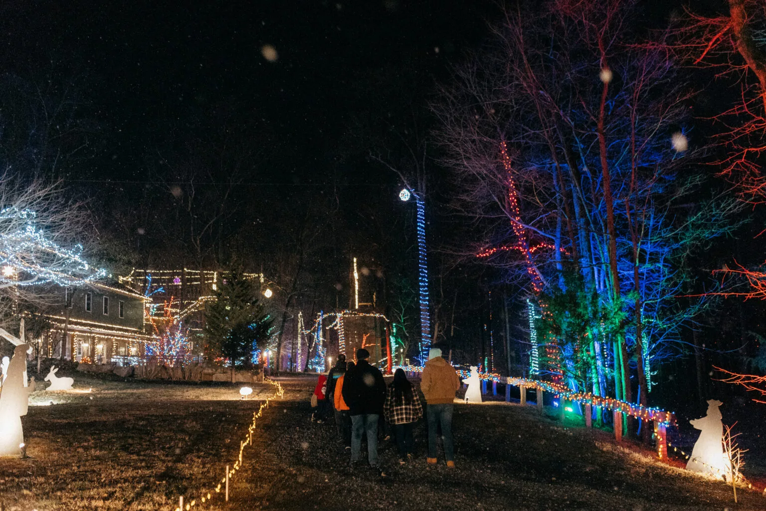 Refreshing Mountain | Christmas Photos 2021 Christmas Winter Lights Walkthrough 1536X1024 1