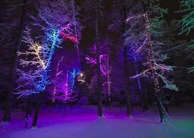 Christmas Lights Snow Ziplines Scaled 1