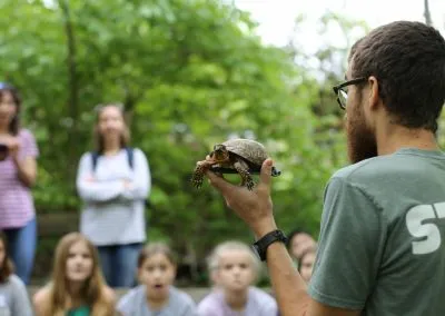 Wildlife Reptiles Summer Kids Scaled 2