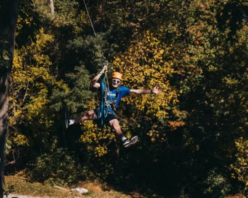 Image 2 Employee And Job Listings