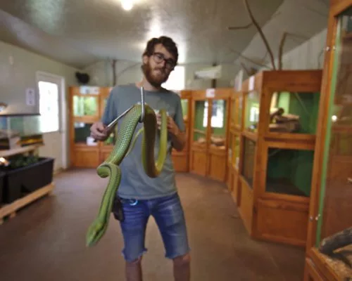 Image 7 Employee And Job Listings