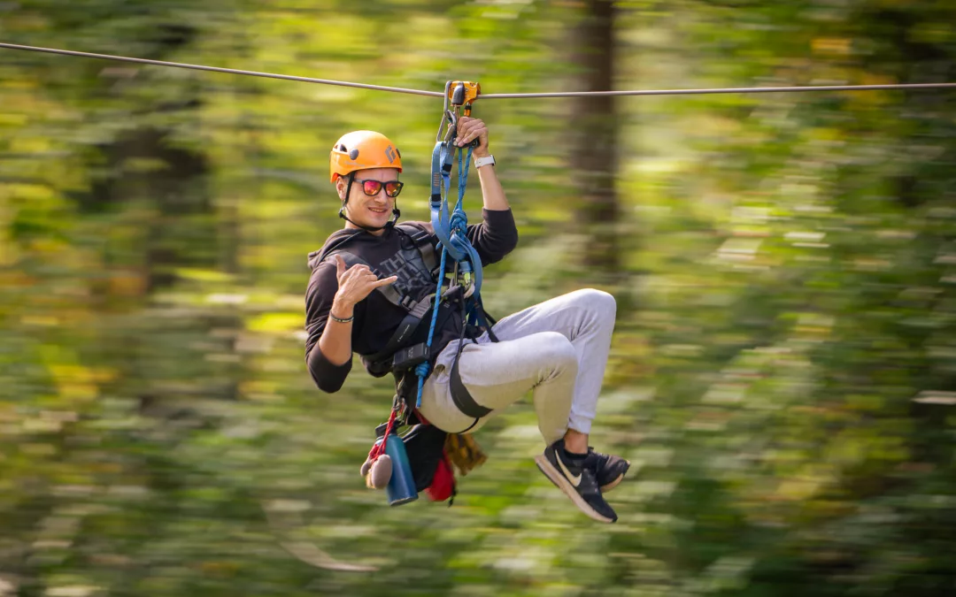 Bundle: Aerial Excursion Tour + Basecamp (Adventure Park)