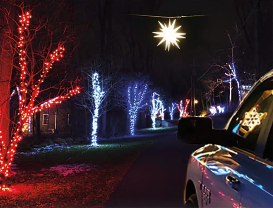 Christmas Drive Lights