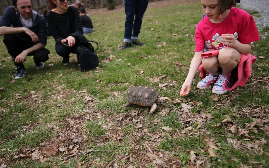 Wildlife of Pennsylvania