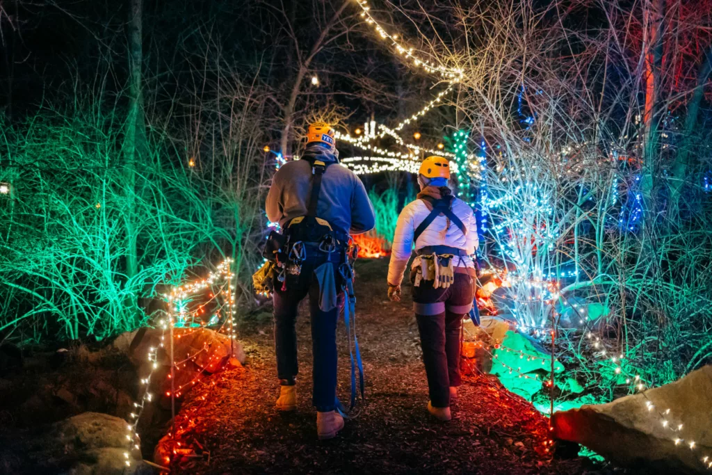 Illuminated Holiday Walking Path Through The Woods At Night