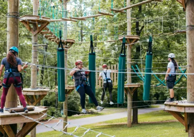 View Elevated Obstacles Patrons Course Guest Scaled 1