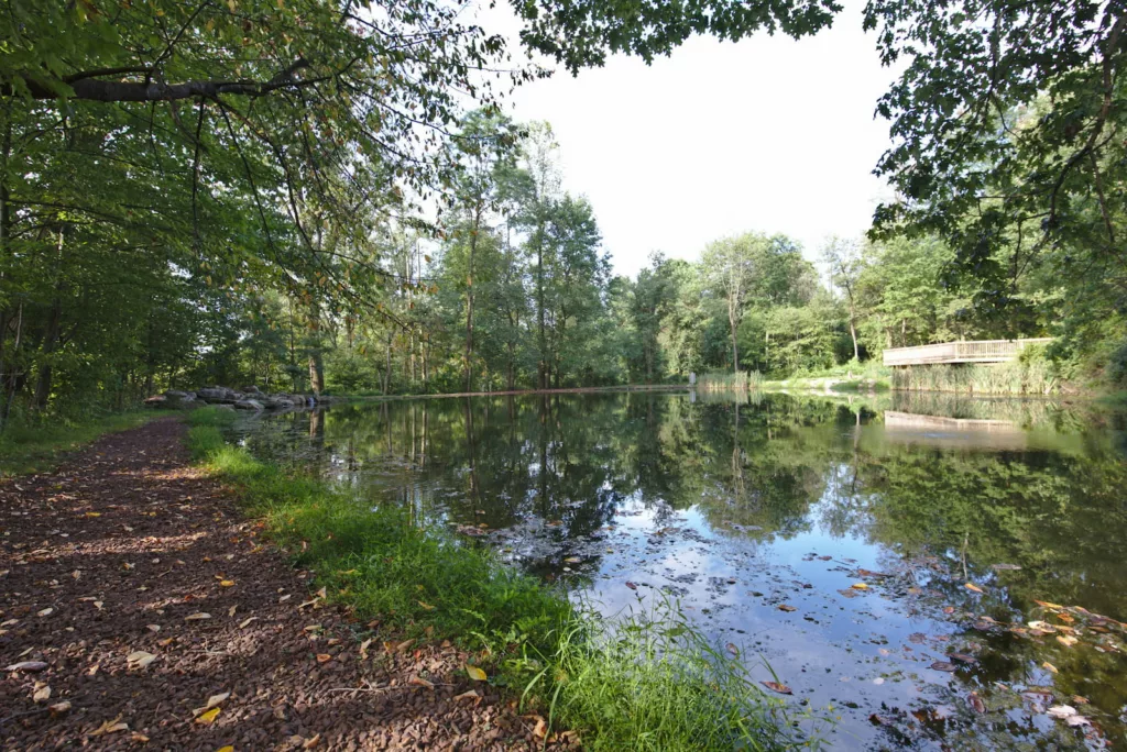 Refreshing Mountain Summer Pond Nature 1 Scaled 11