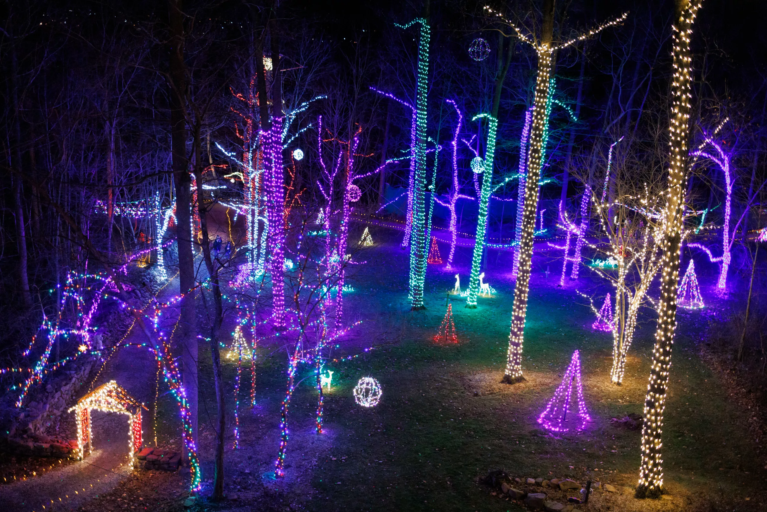 Christmas Light Meadow Scaled