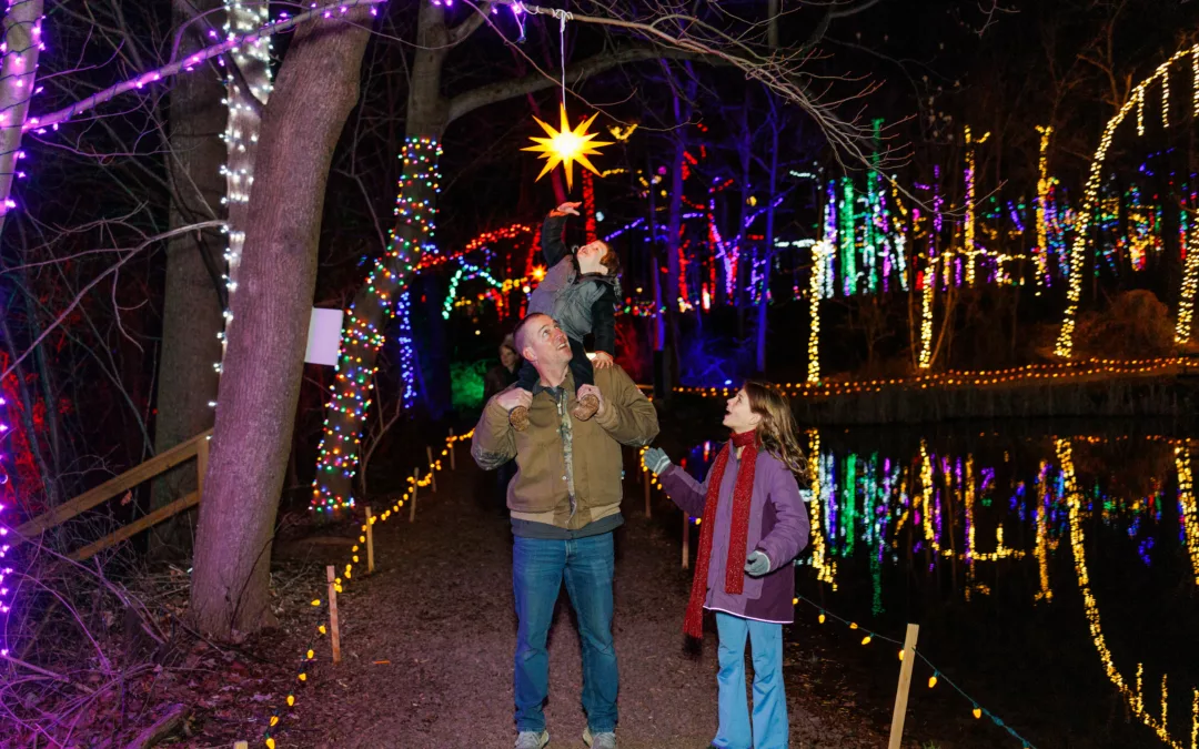 Top 5 Christmas Light Displays in Central PA