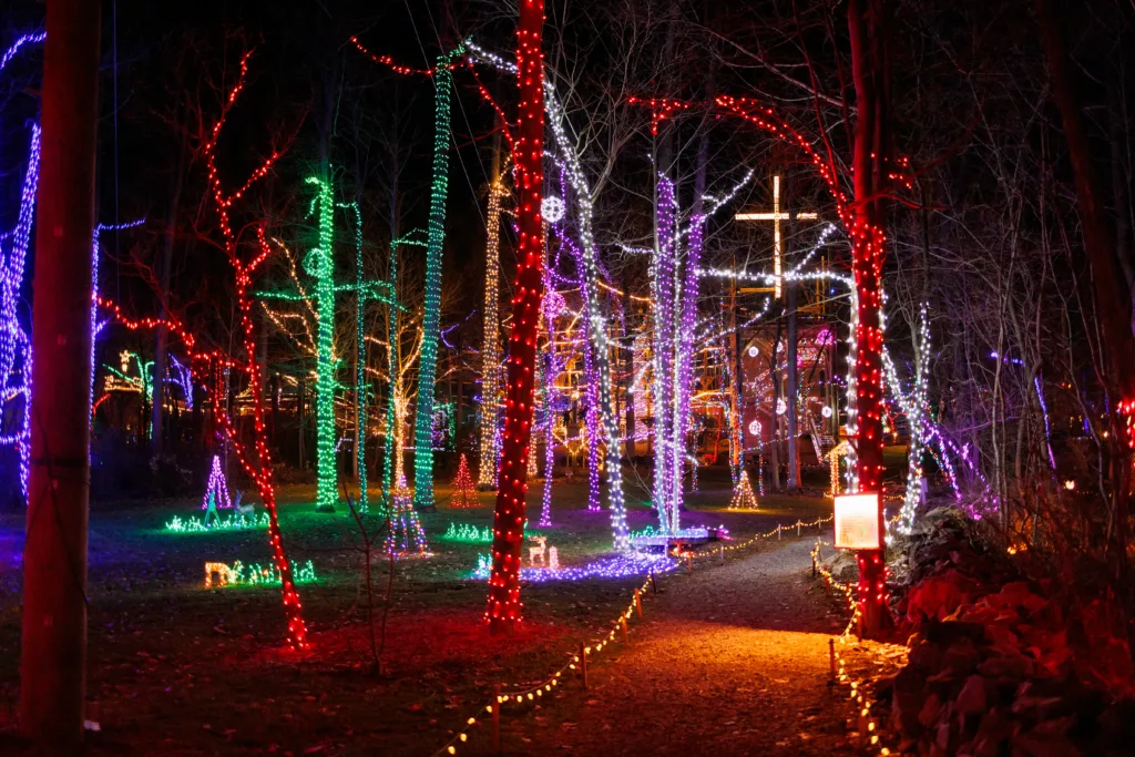 Christmas Light Walking Path Meadow