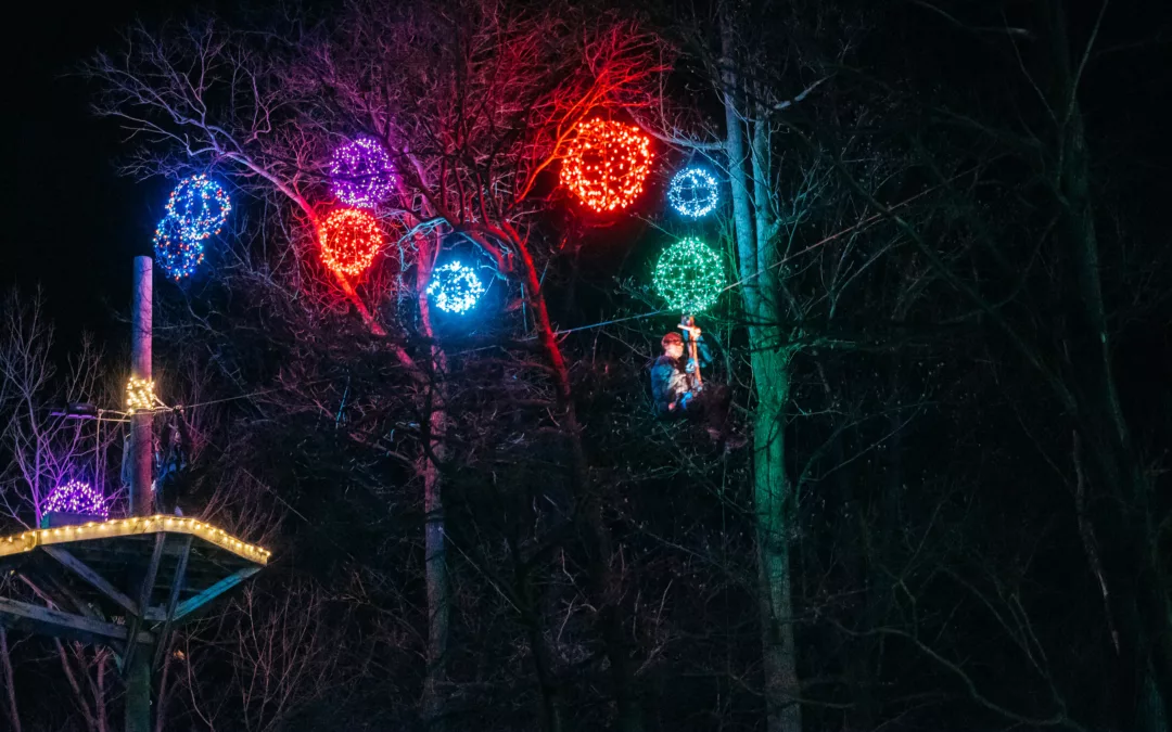 3 Zips Through Christmas Lights