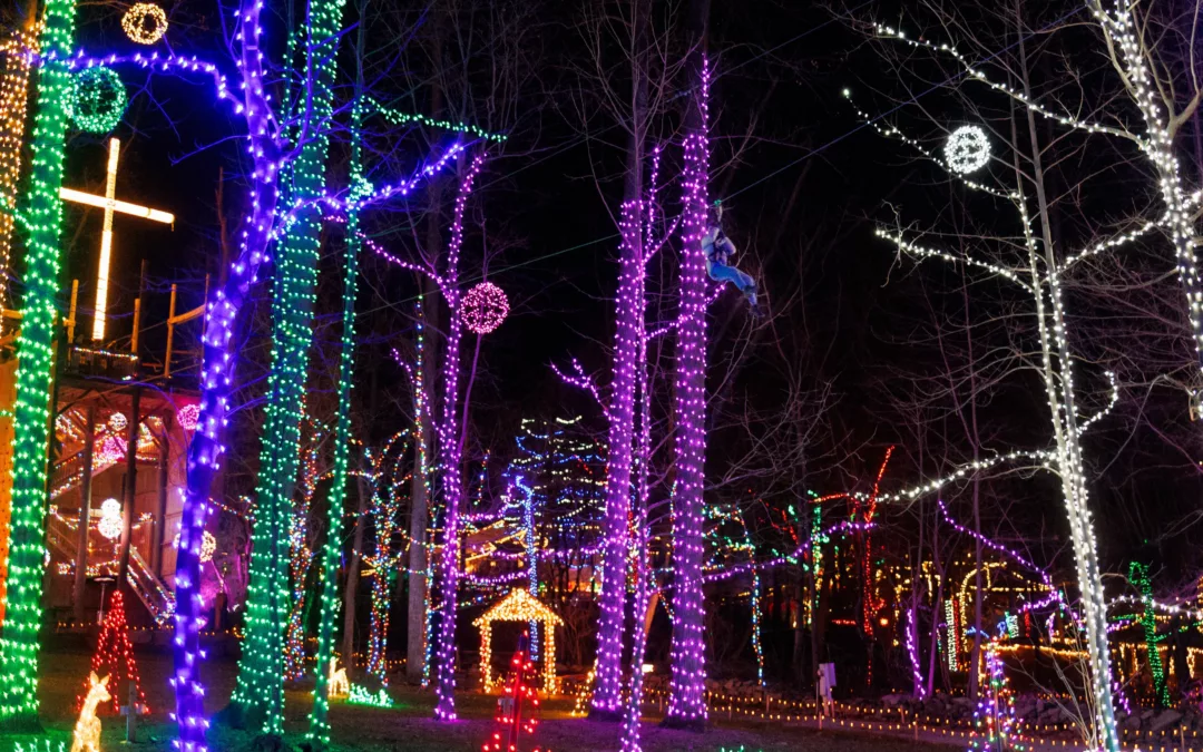 2 Zips Through Christmas Lights