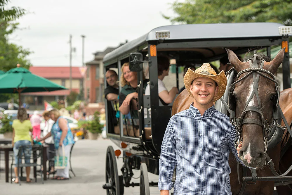 Horse Buggy