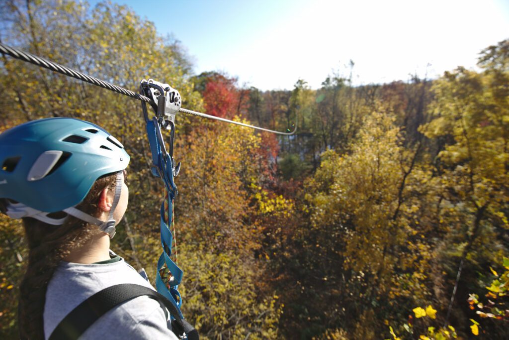 Fall Zipline Trees Autumn
