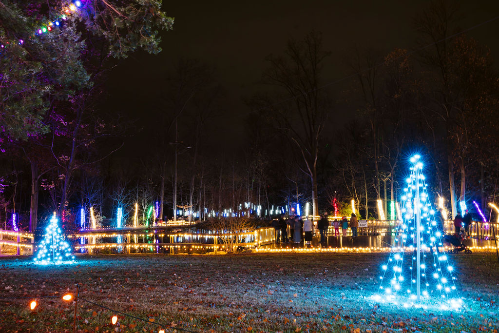 Christmas Light Walking Path Pond