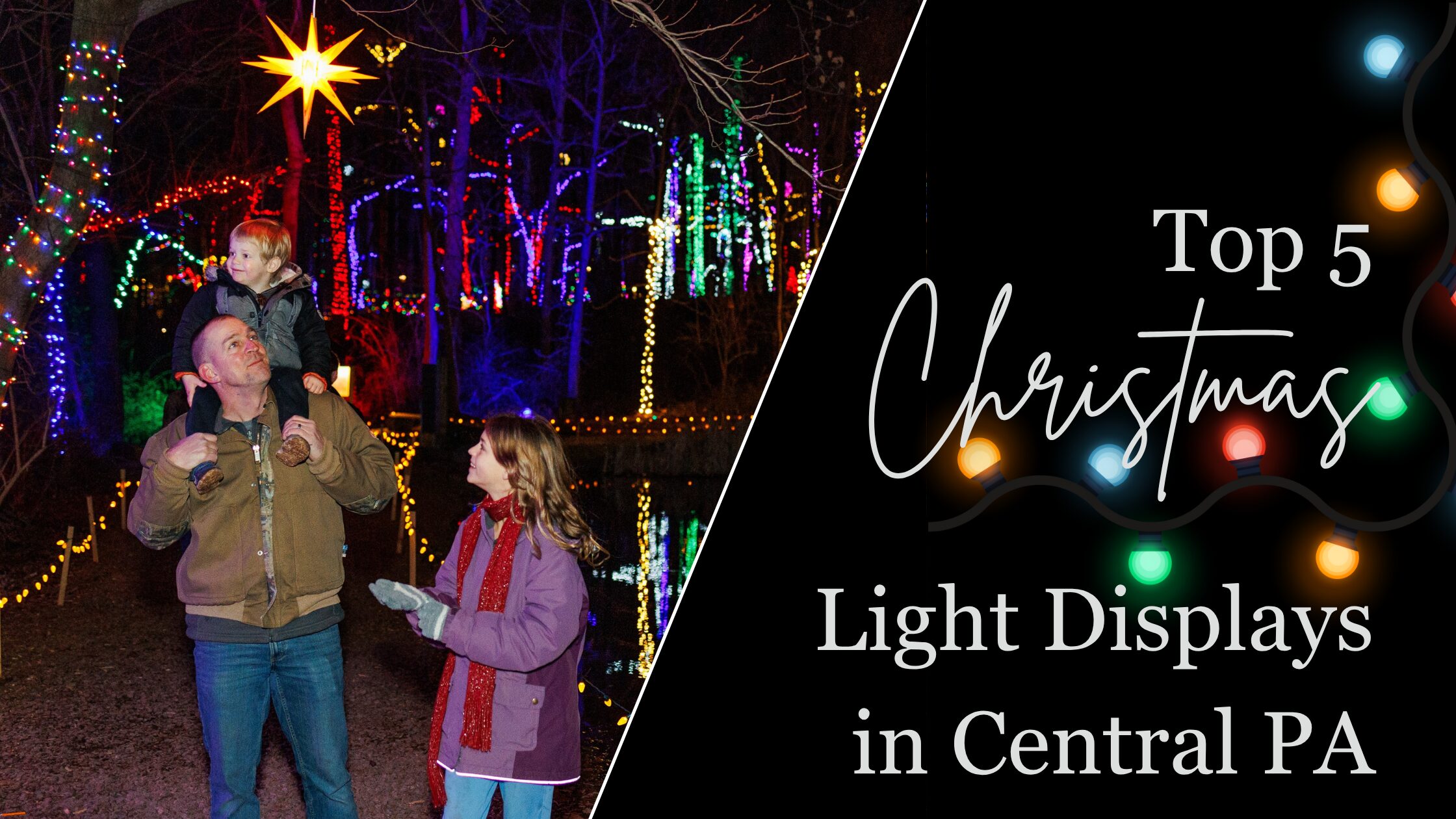 Christmas Lights Displays