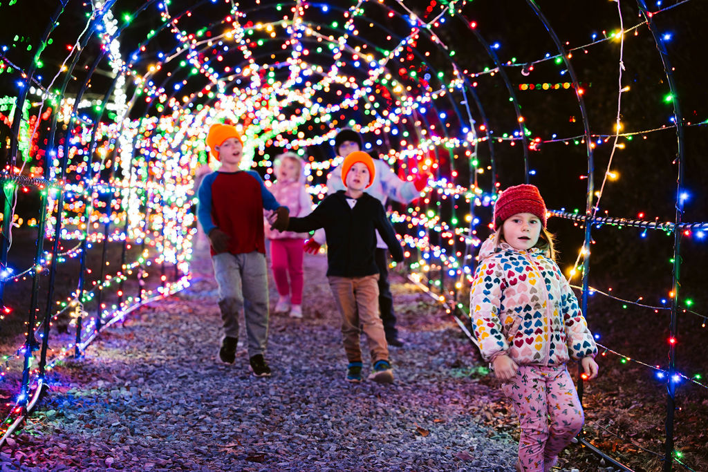 Christmas Light Walking Path Experience