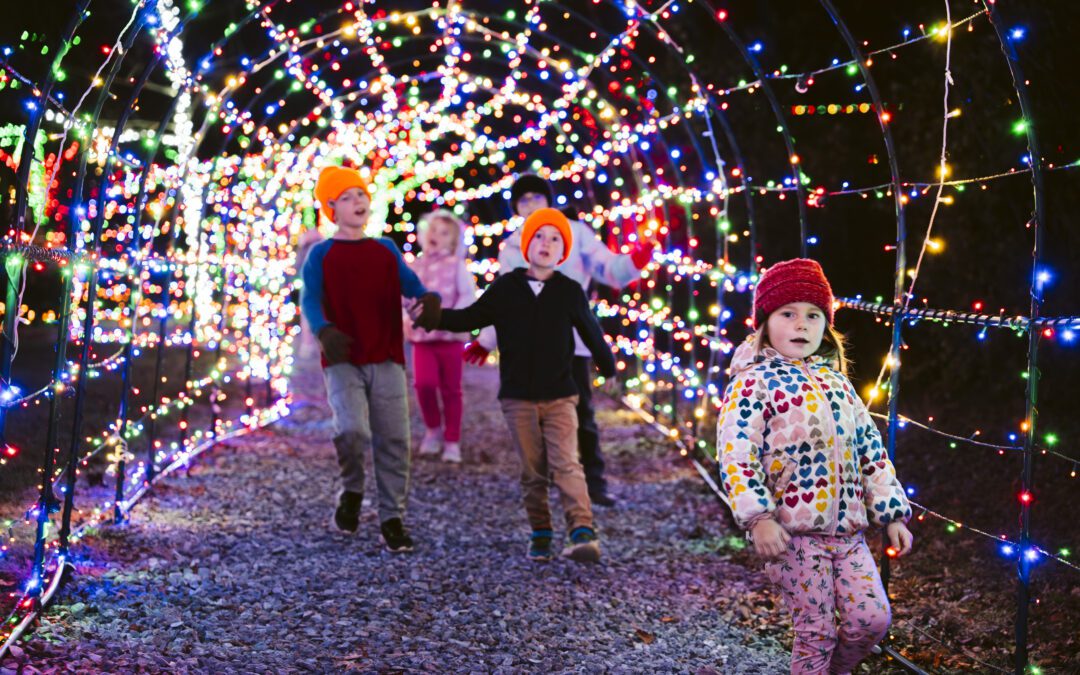 Top 5 Christmas Light Displays in Central PA