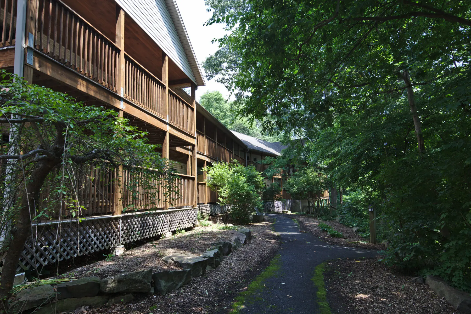 Lodges Summer Retreats Lodges Summer Retreats Scaled